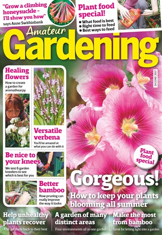 Amateur Gardening issue 24th June 2017