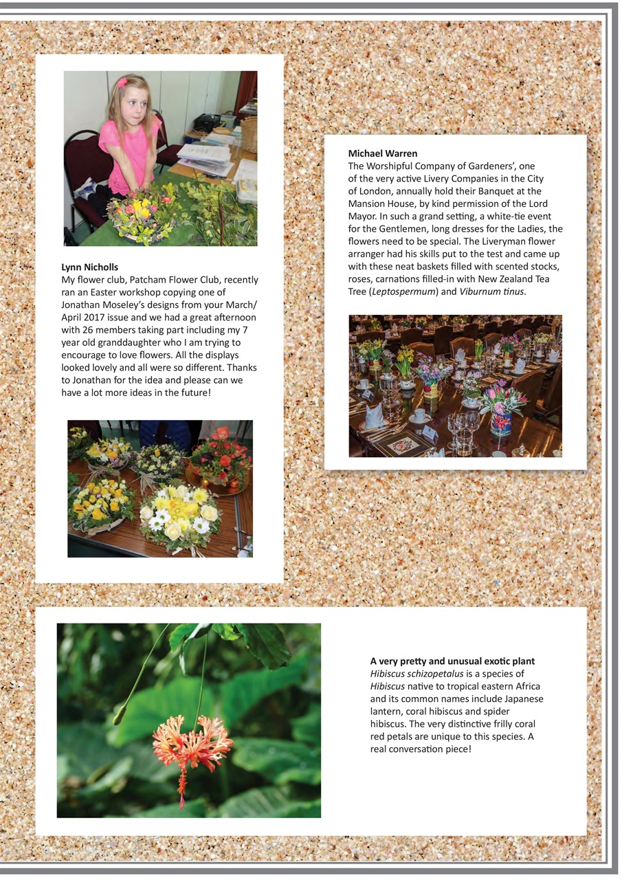 Flora International Preview Pages