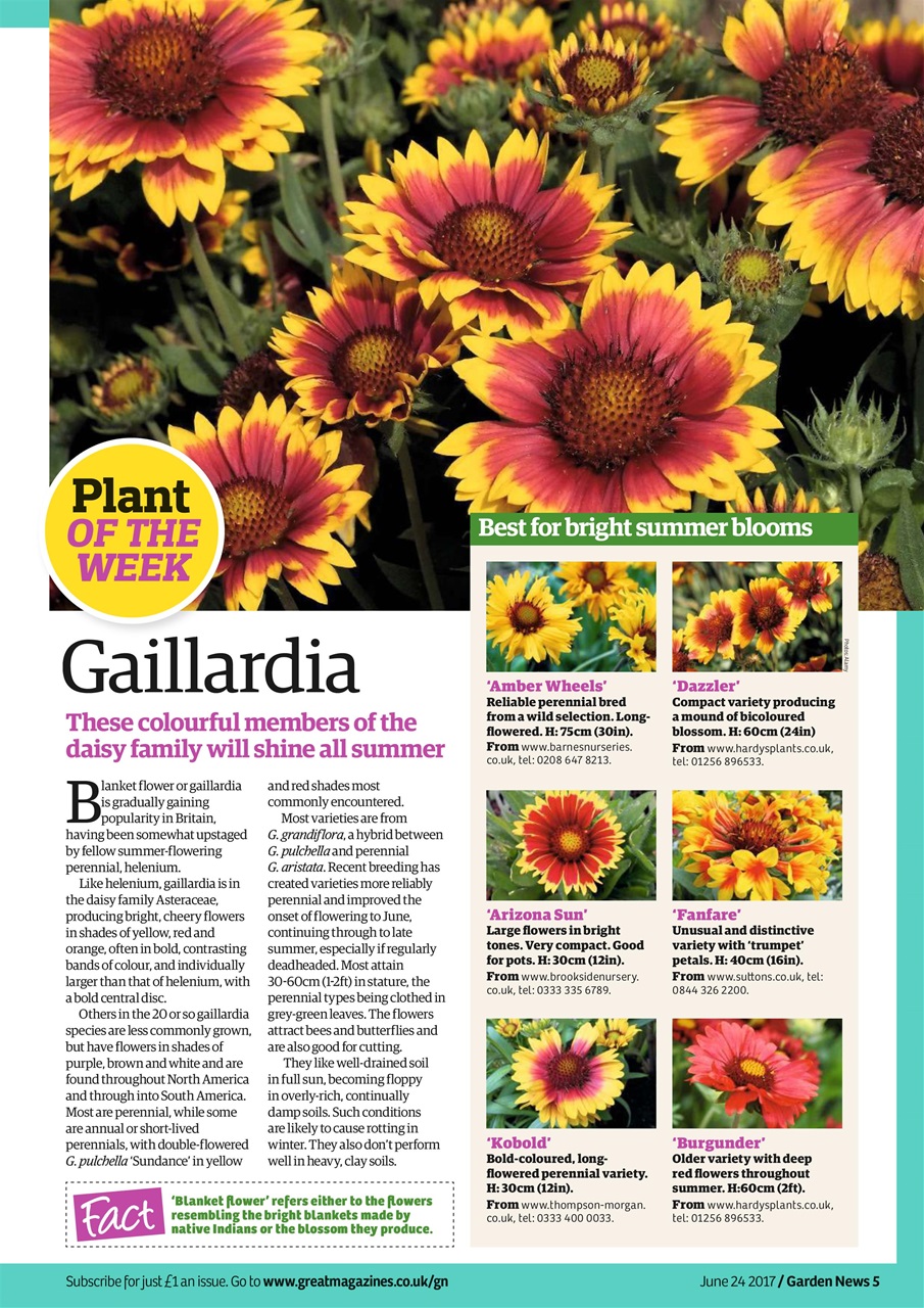 Garden News Preview Pages