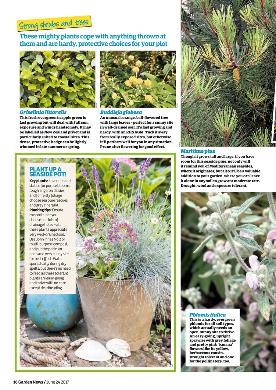 Garden News Preview Pages