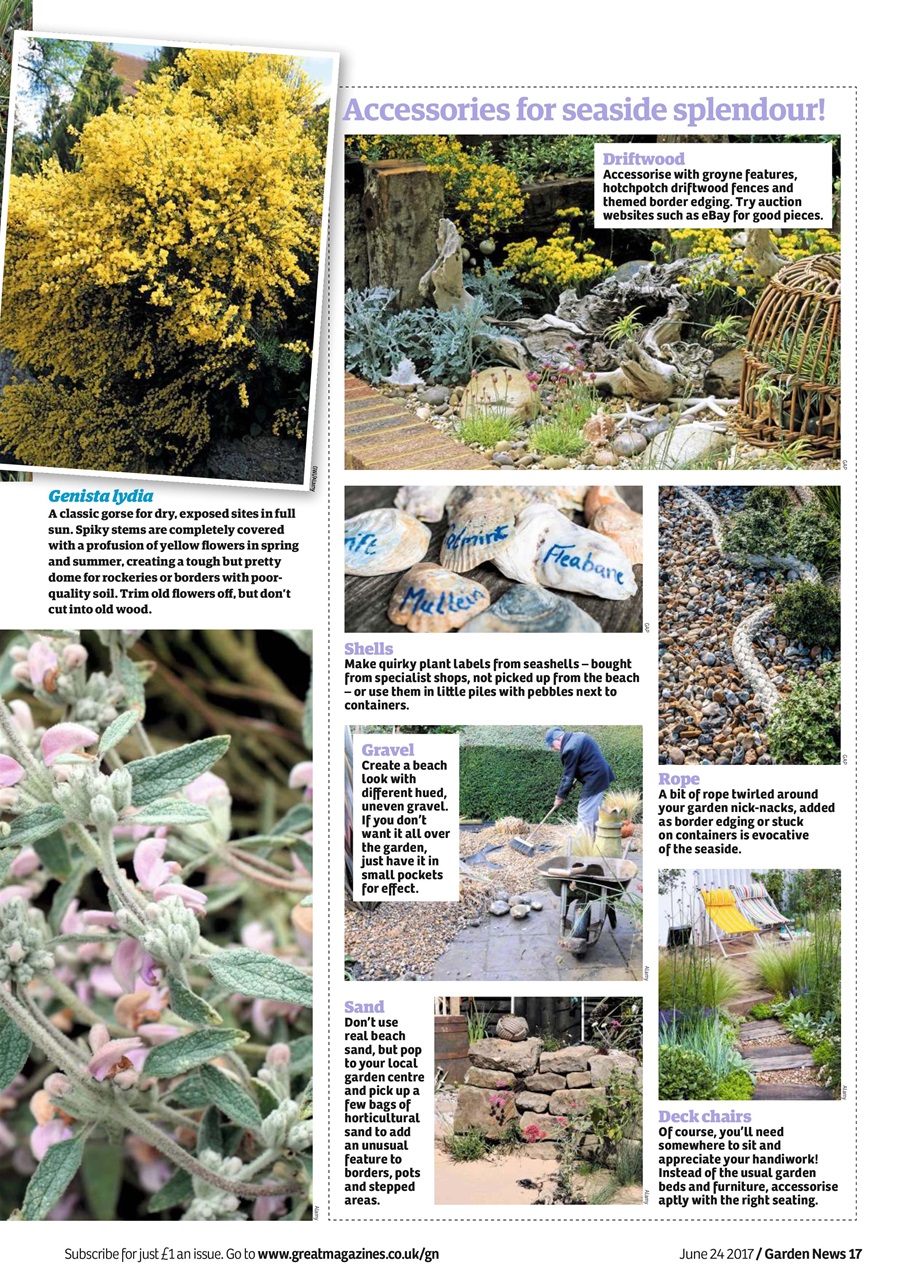 Garden News Preview Pages