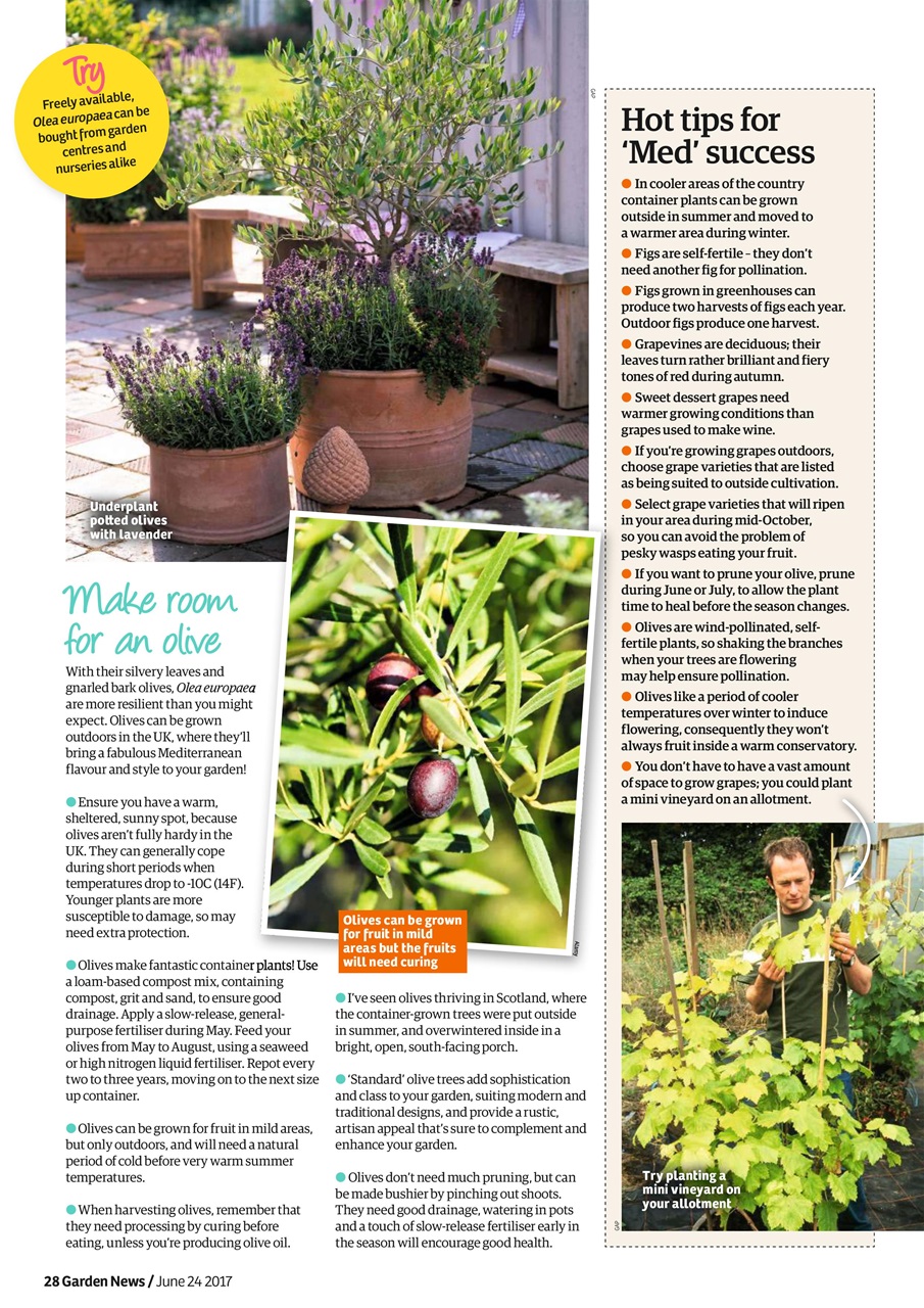 Garden News Preview Pages