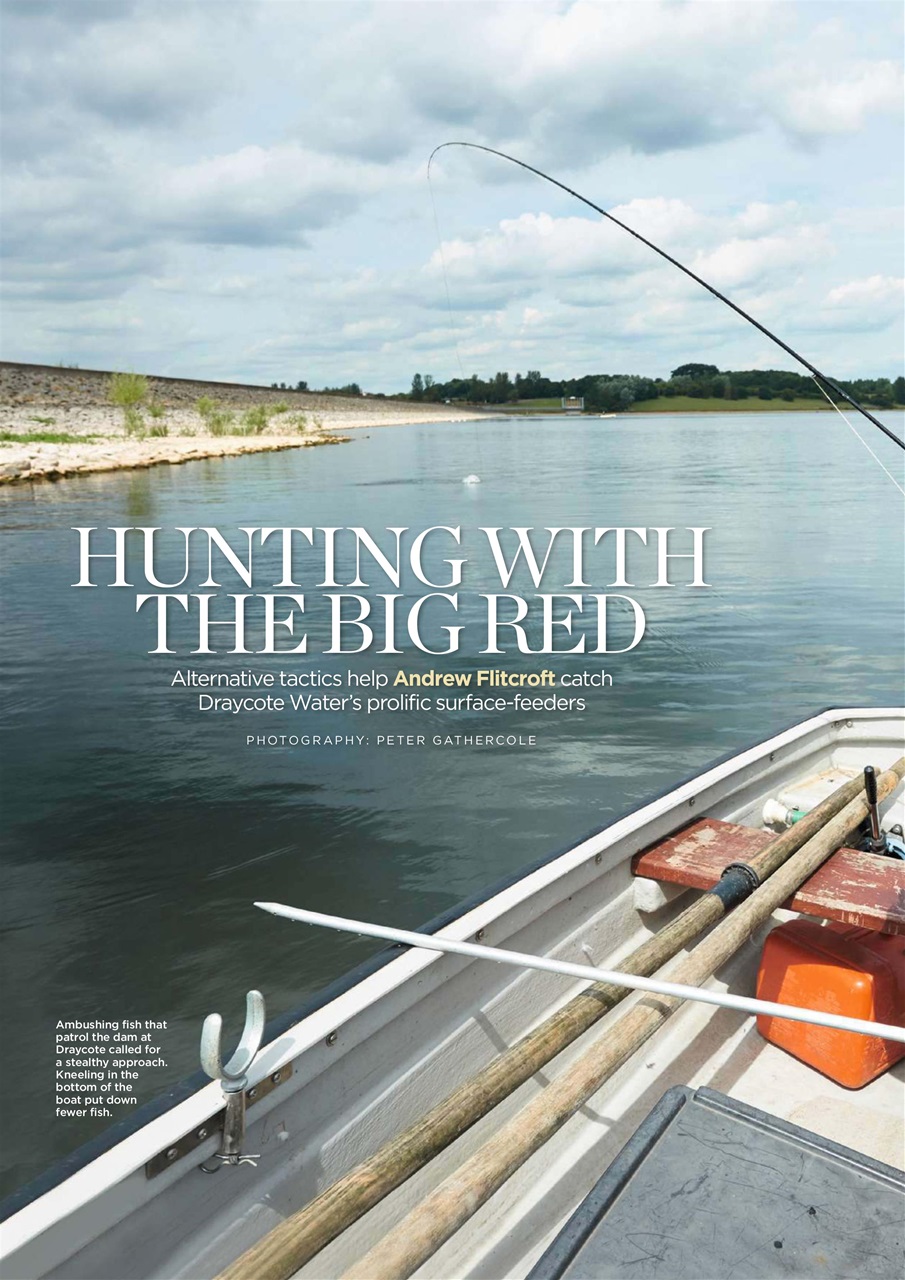 Trout & Salmon Preview Pages