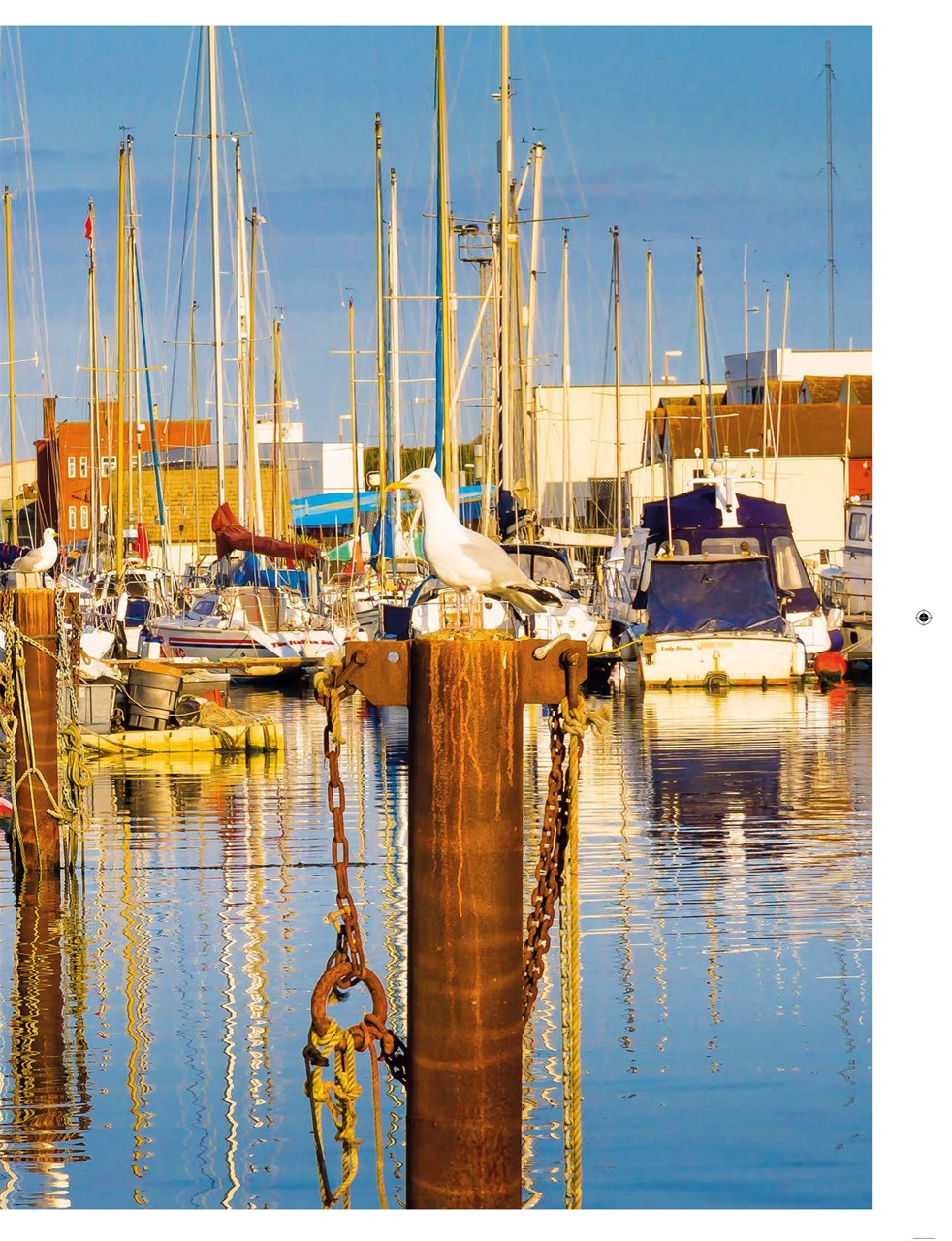 Sailing Today Preview Pages