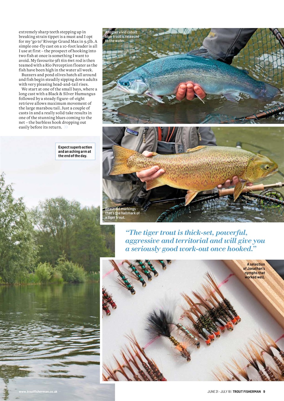 Trout Fisherman Preview Pages
