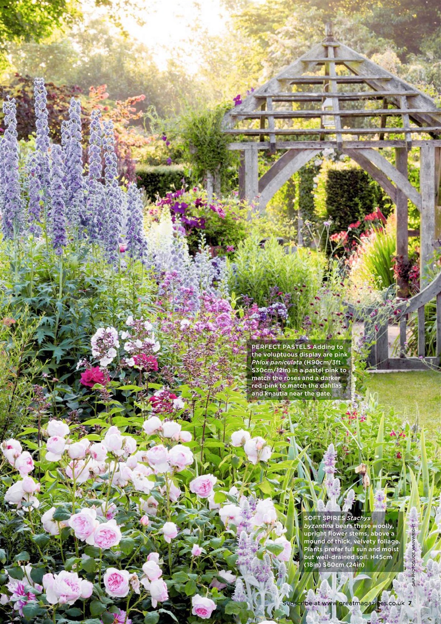 Garden Answers Preview Pages