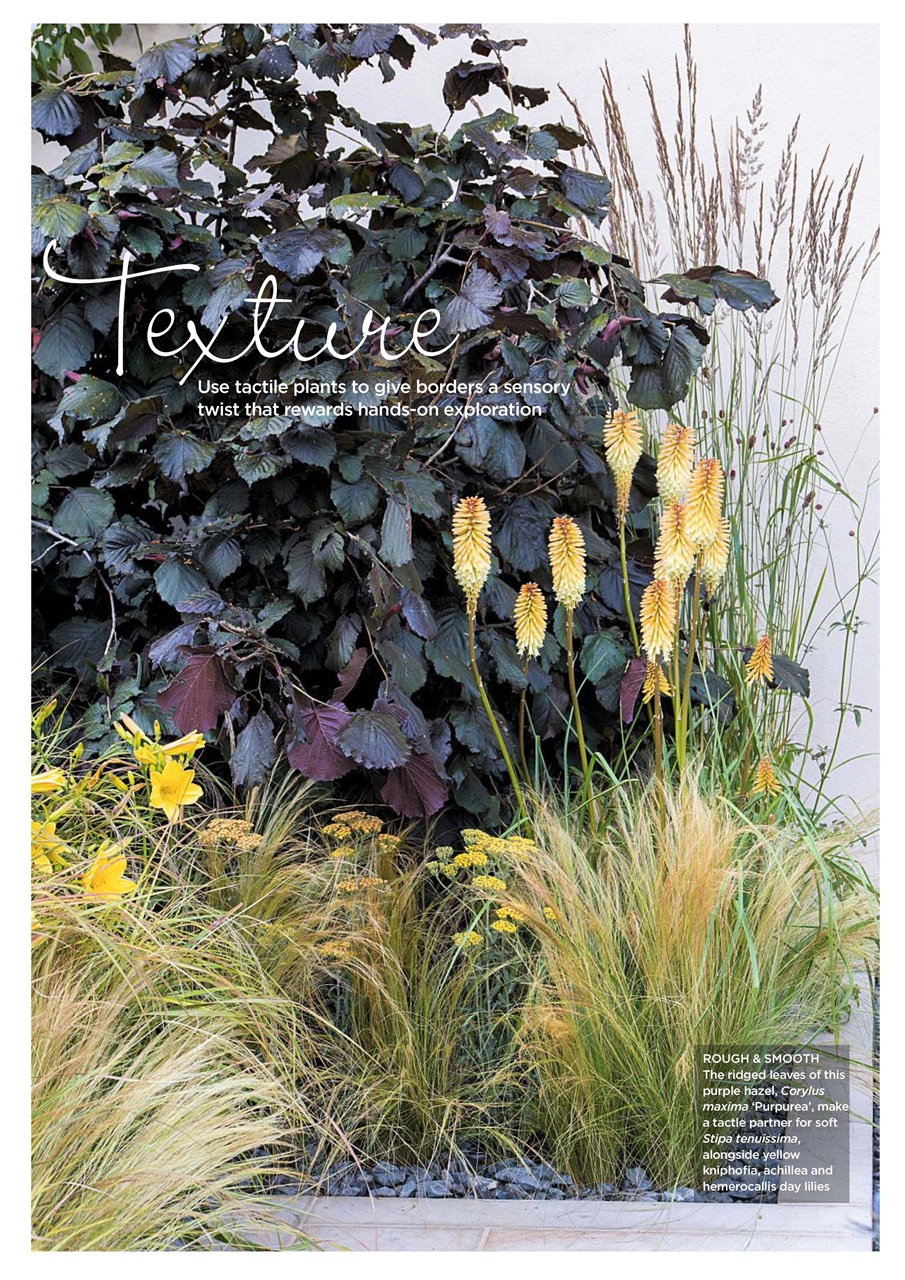 Garden Answers Preview Pages