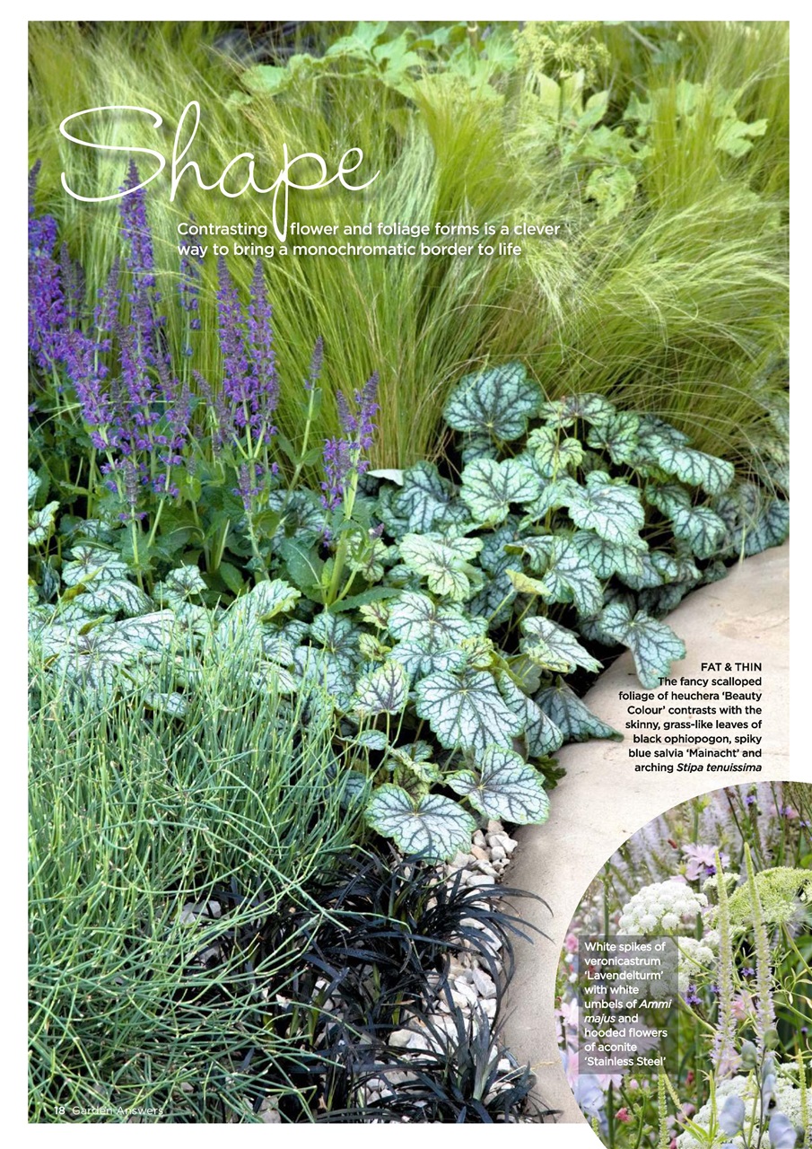 Garden Answers Preview Pages