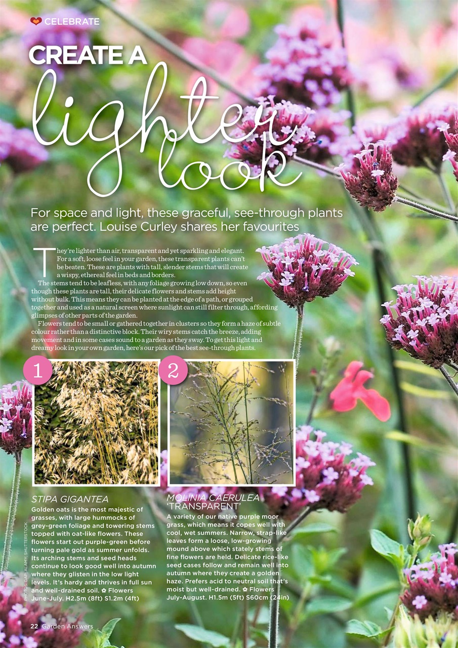 Garden Answers Preview Pages