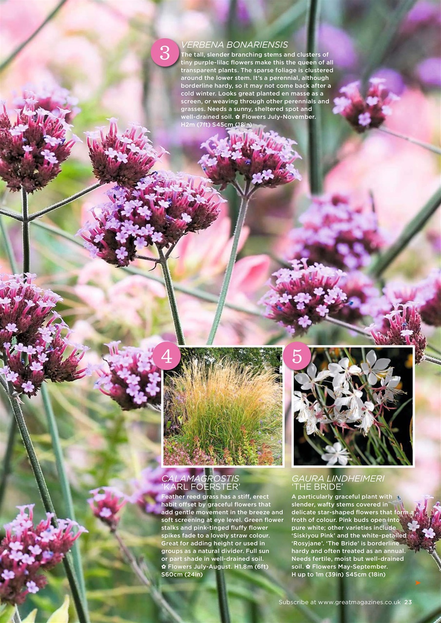 Garden Answers Preview Pages