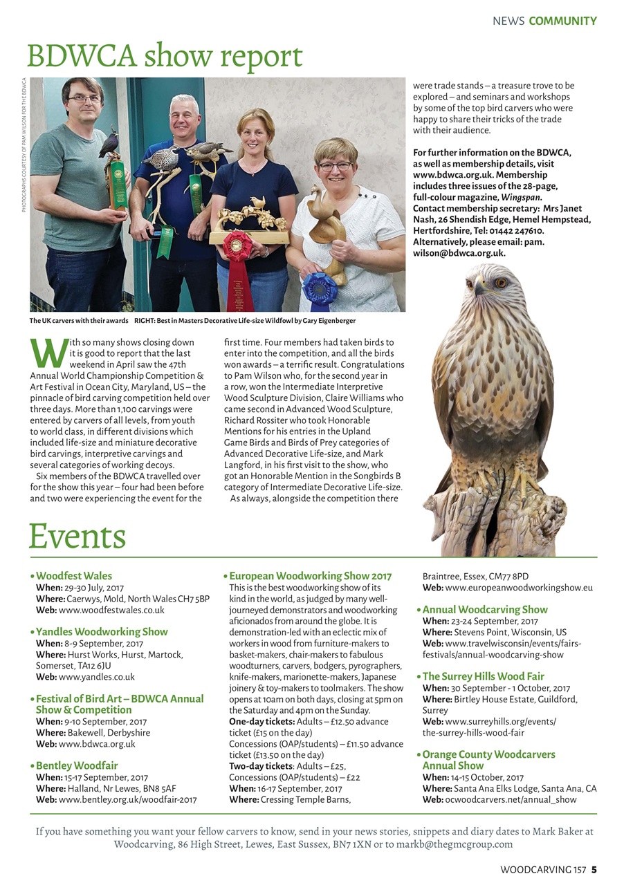 Woodcarving Preview Pages