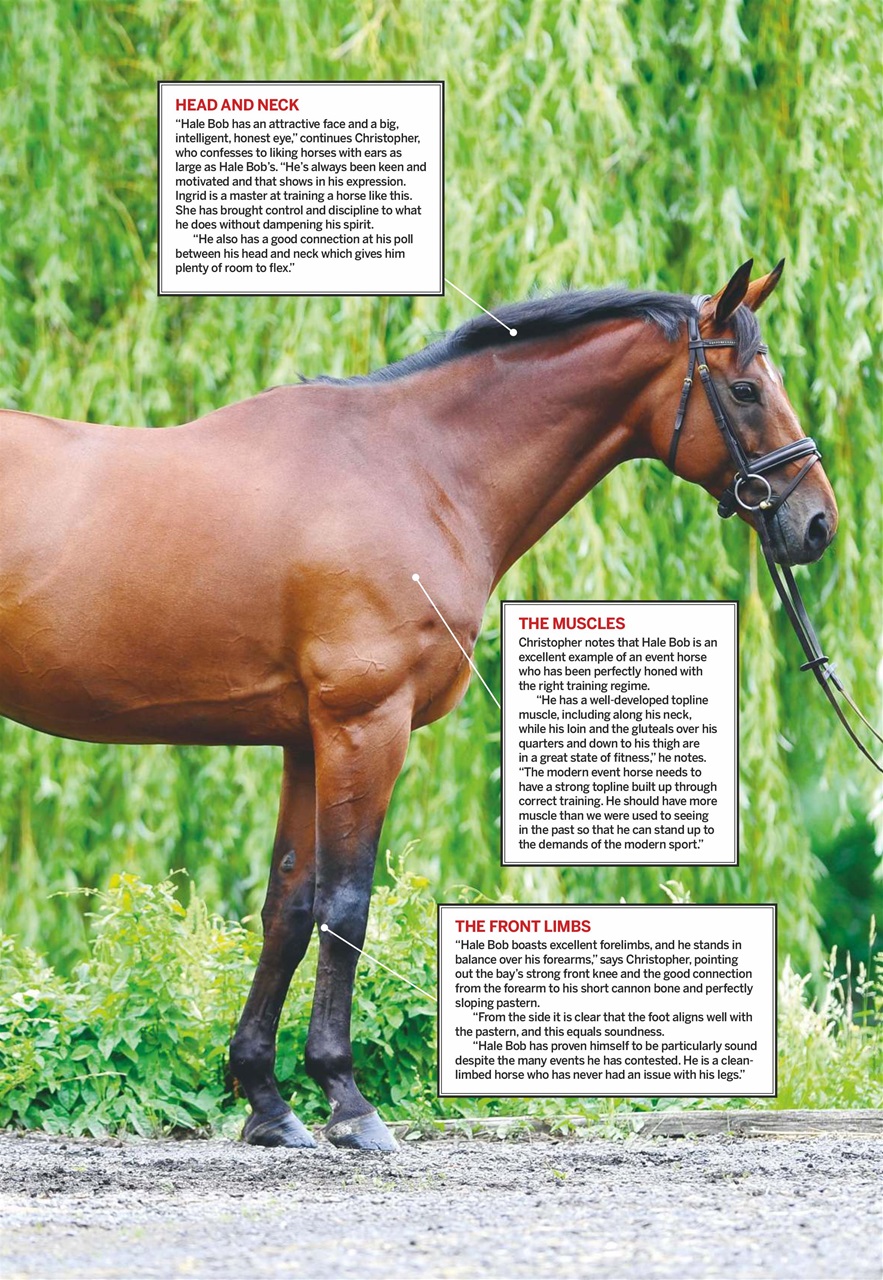 Horse & Hound Preview Pages