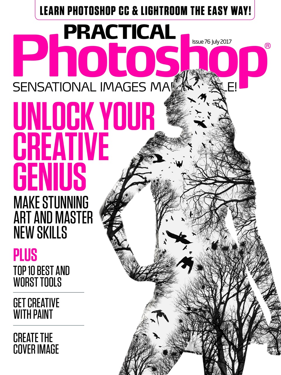 Practical Photoshop Preview Pages