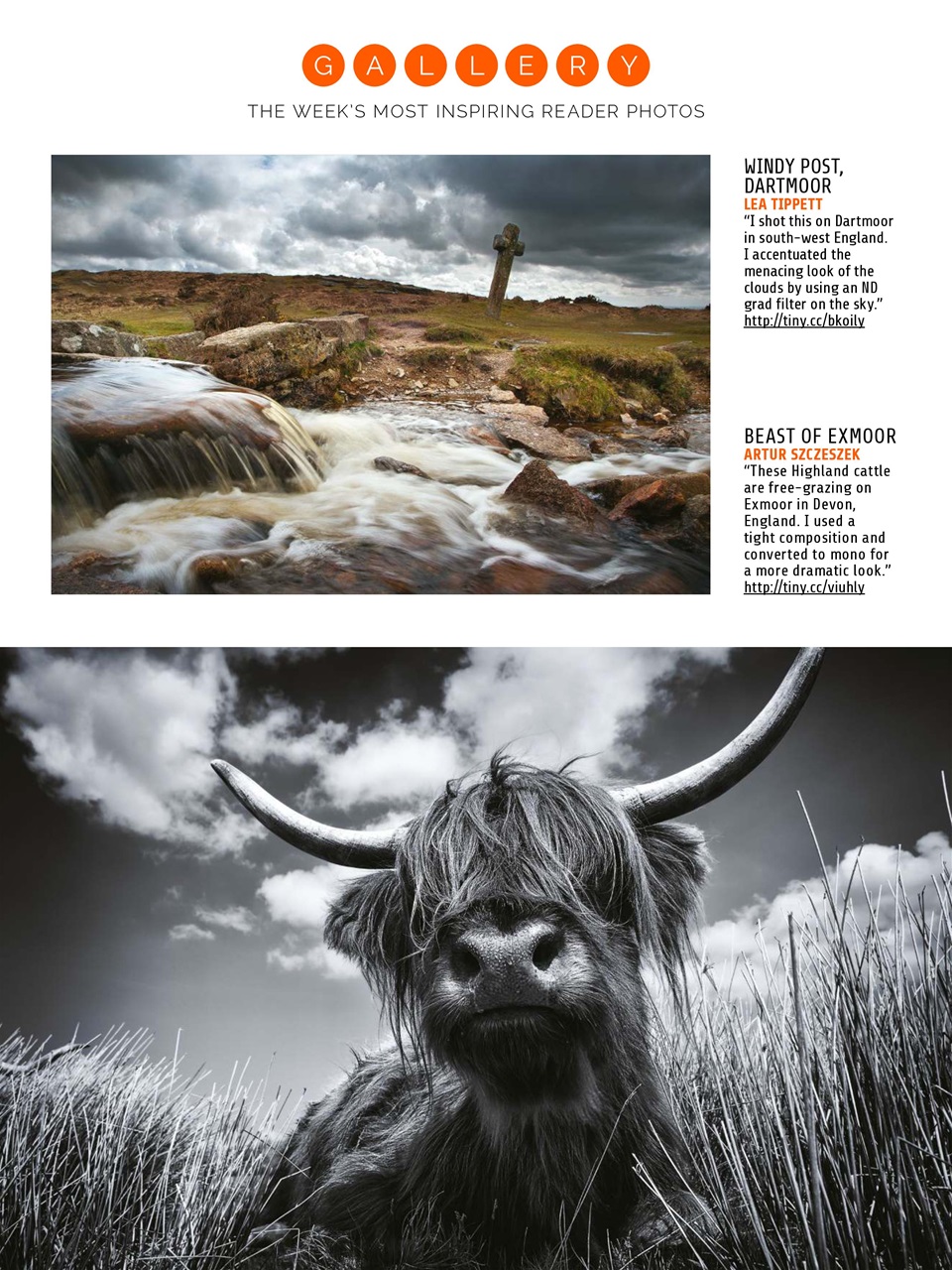 Photography Week Preview Pages