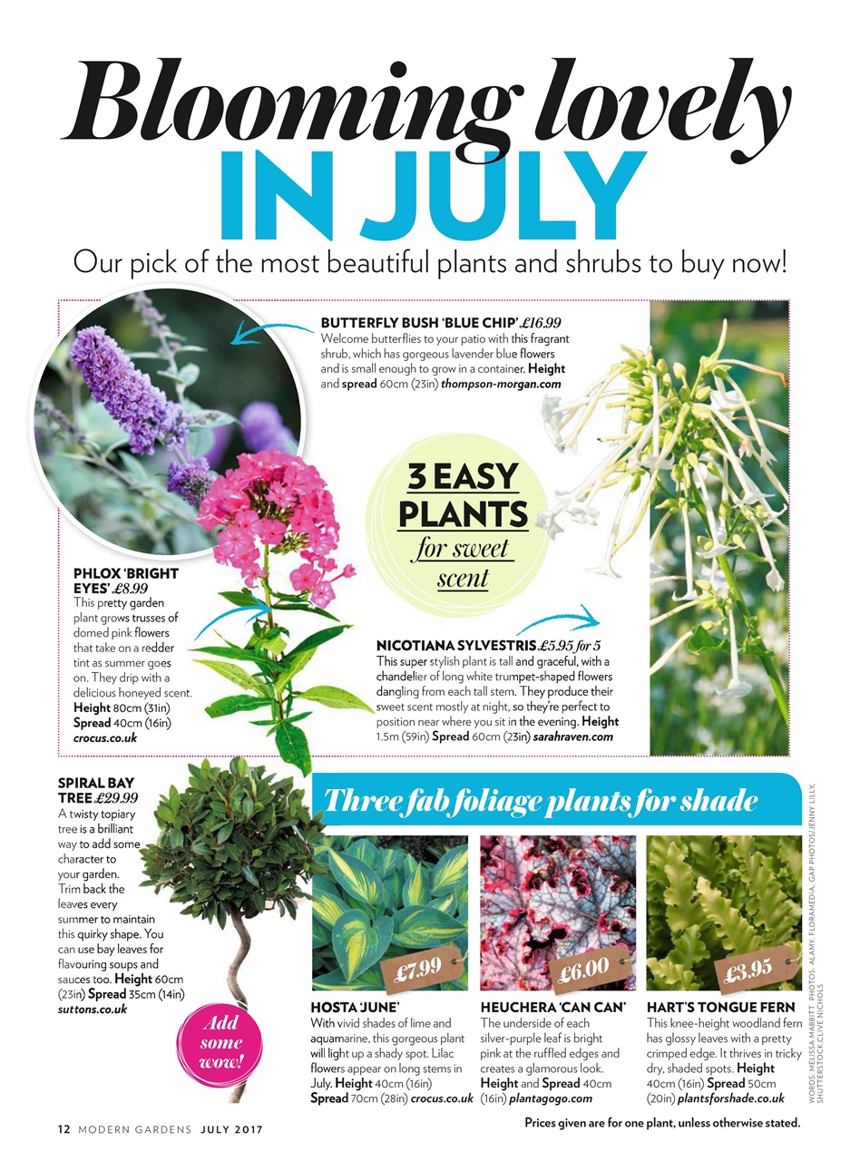 Modern Gardens Preview Pages