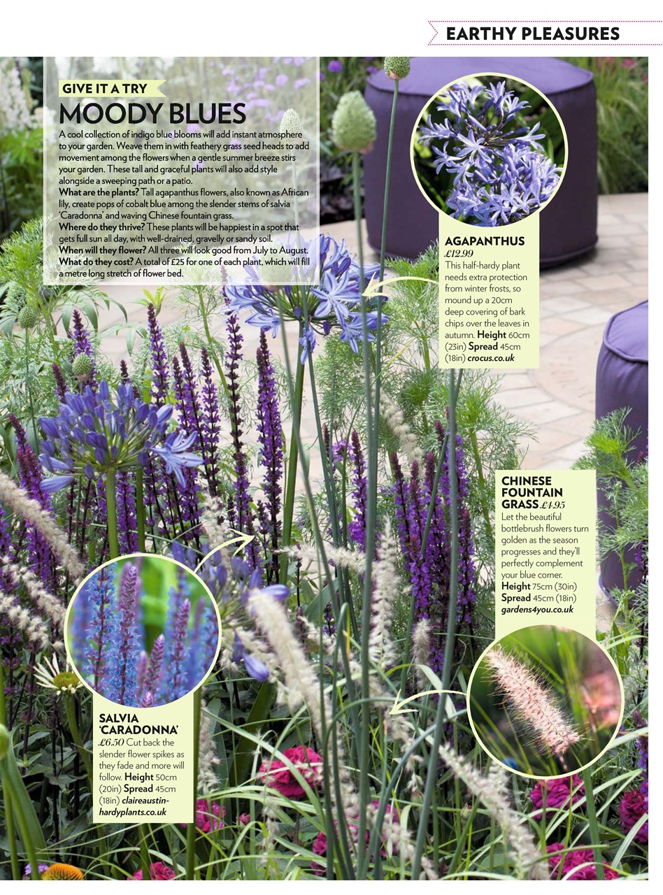 Modern Gardens Preview Pages