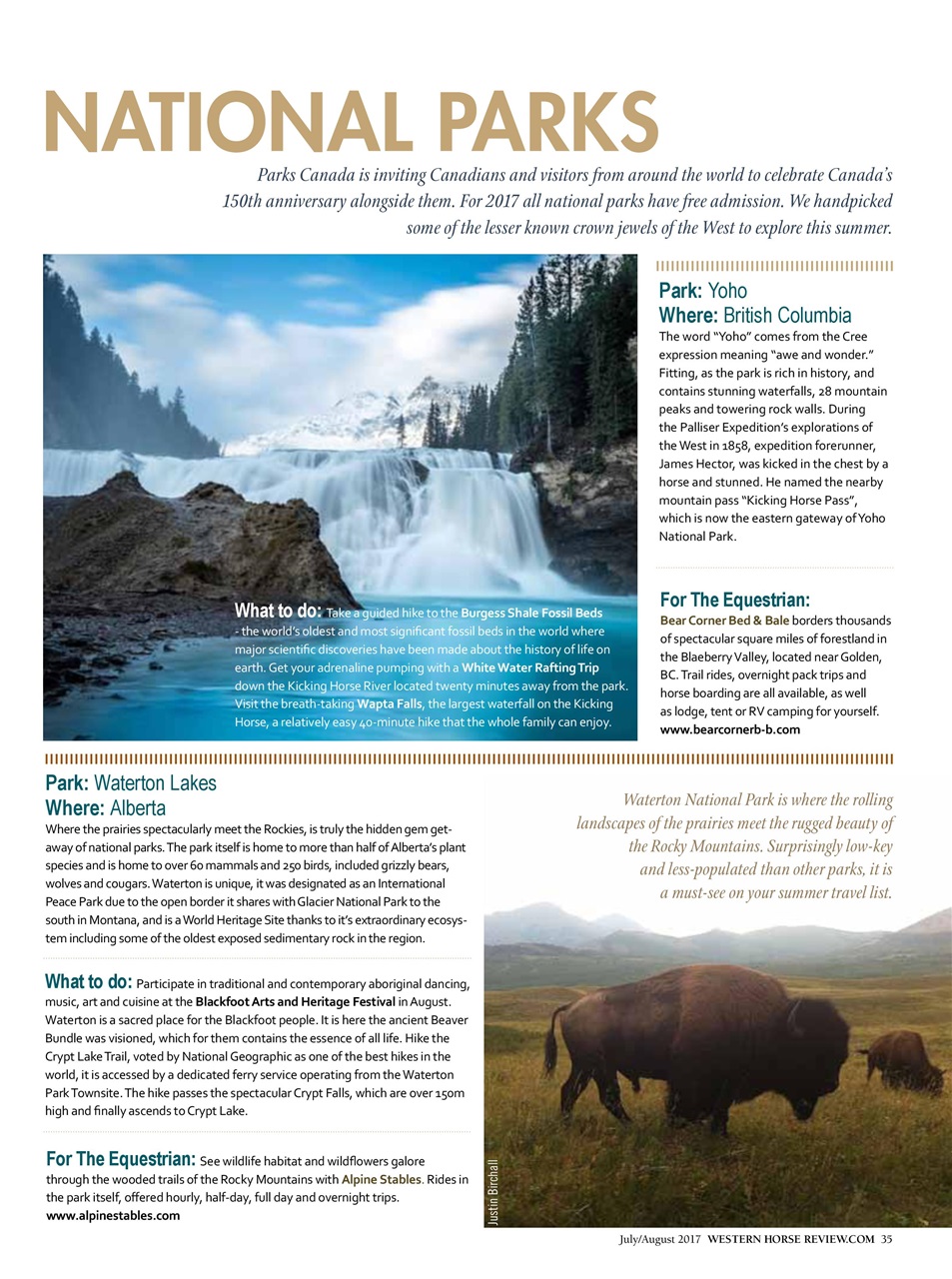 Western Horse Review Preview Pages