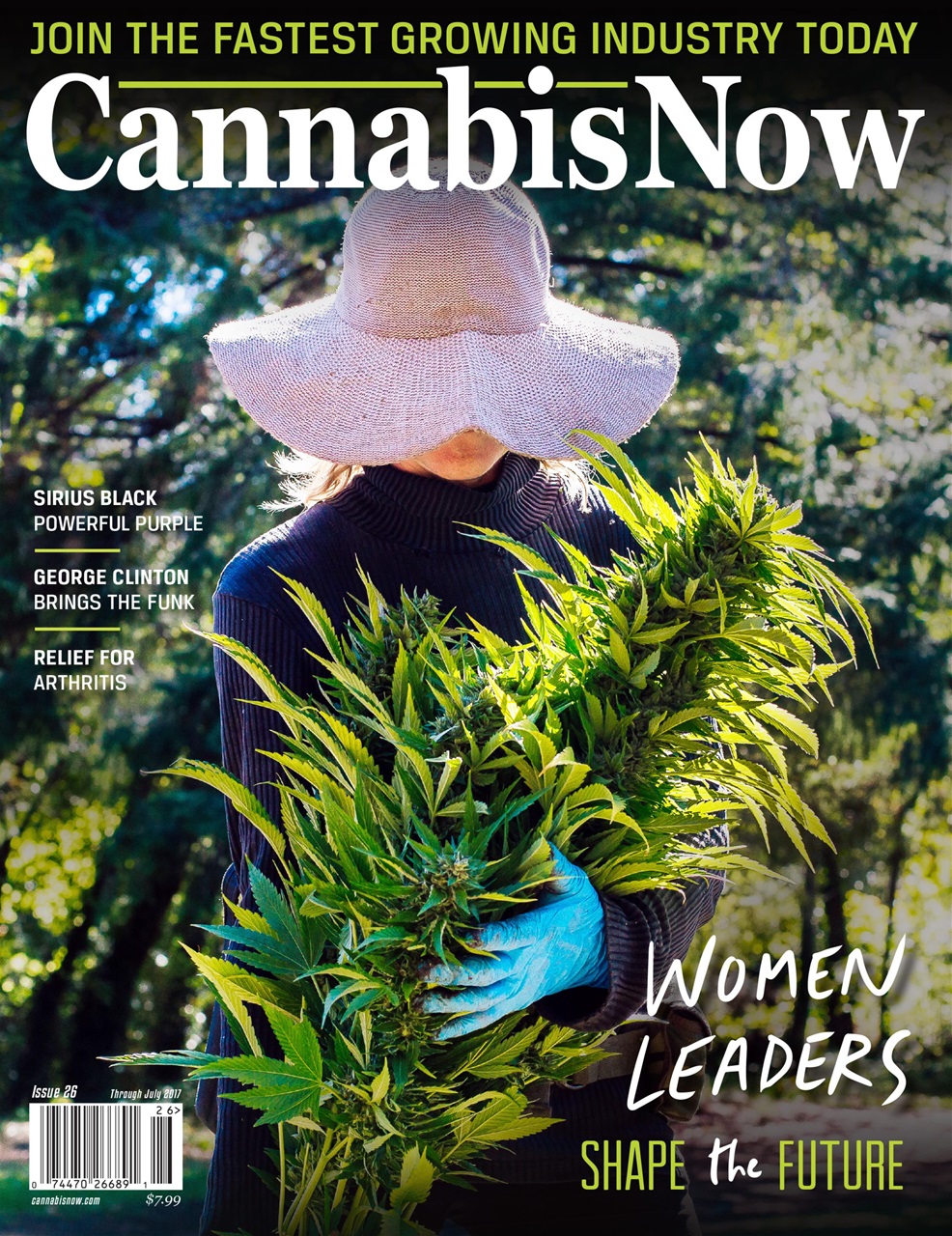Cannabis Now Preview Pages