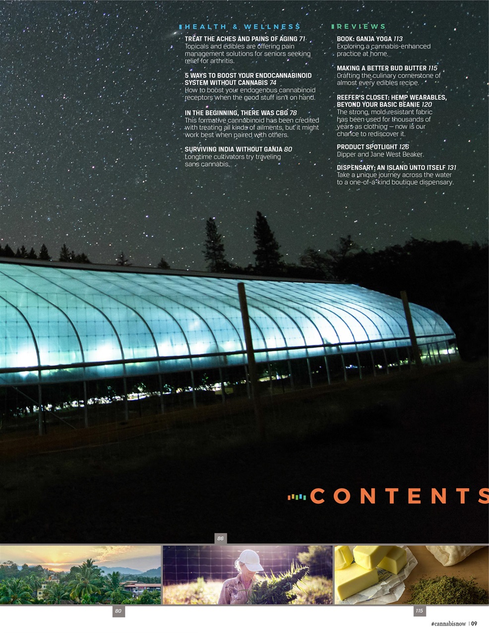 Cannabis Now Preview Pages