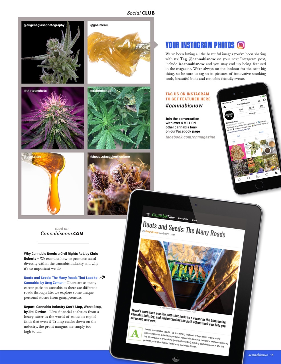 Cannabis Now Preview Pages