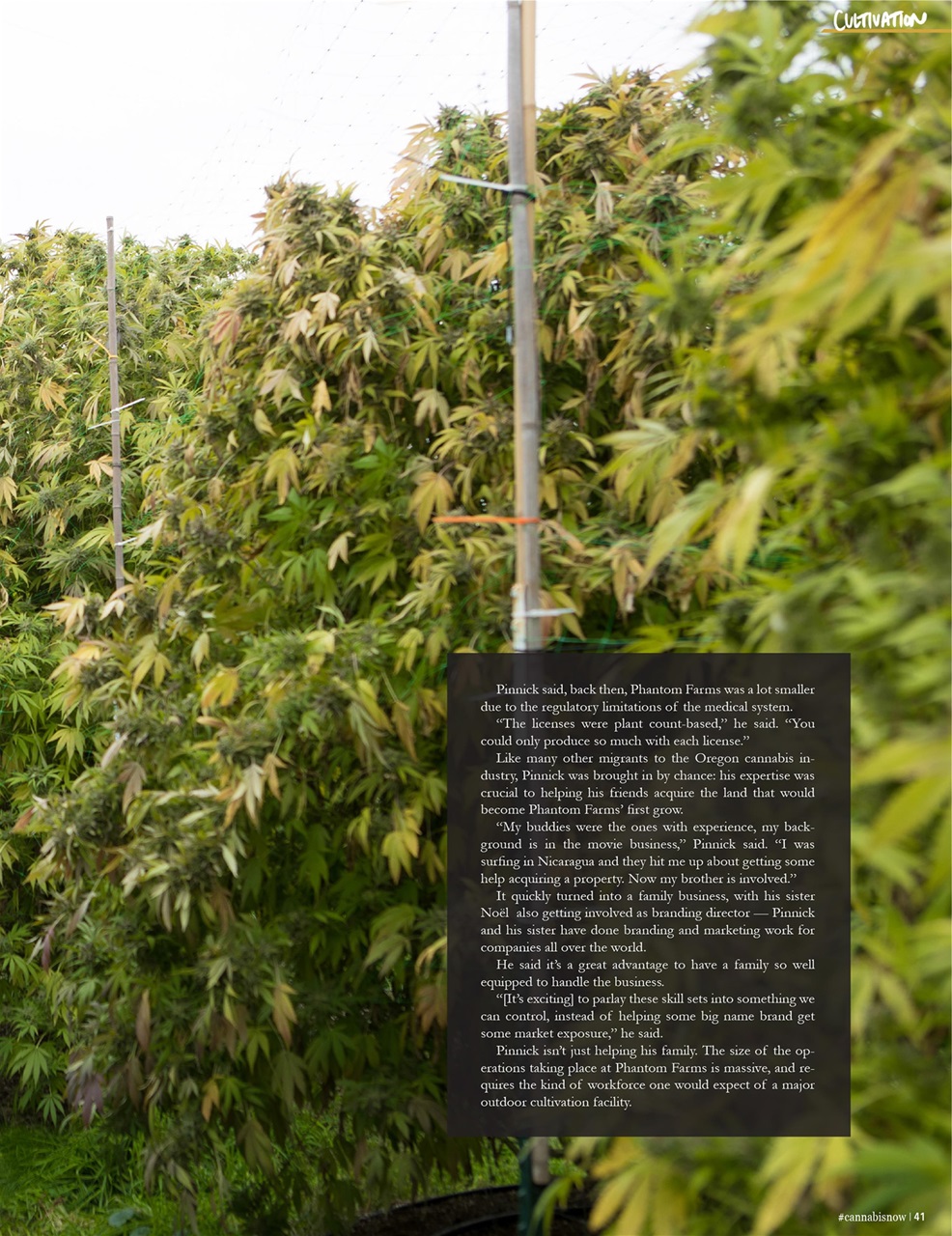 Cannabis Now Preview Pages