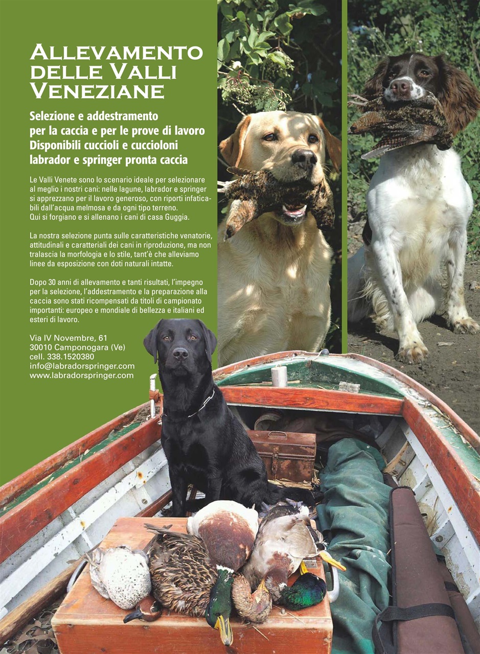 La Gazzetta Della Cinofilia Venatoria Preview Pages