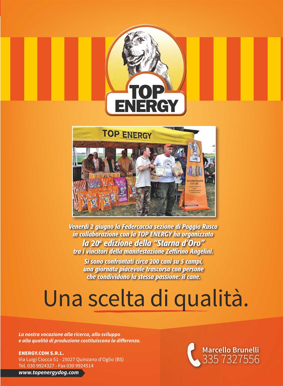 La Gazzetta Della Cinofilia Venatoria Preview Pages