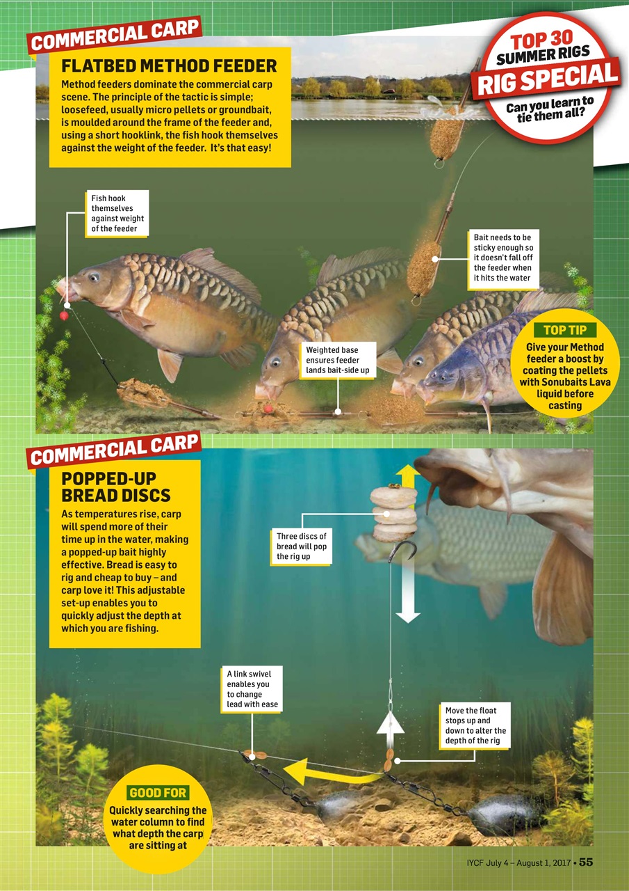 Improve Your Coarse Fishing Preview Pages