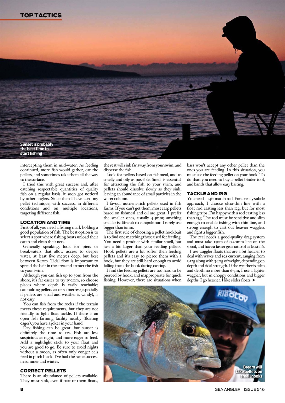 Sea Angler Preview Pages
