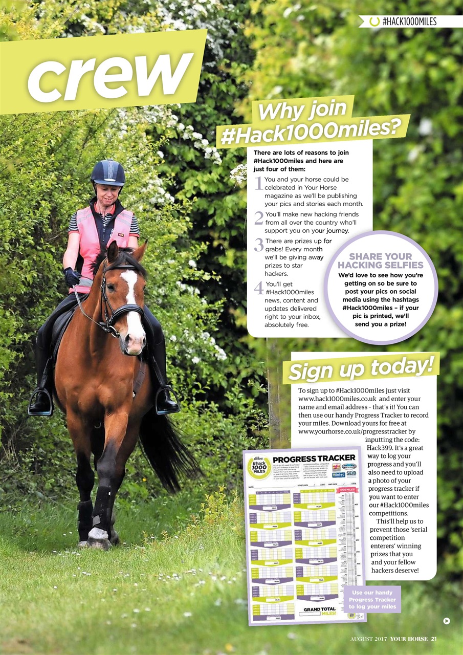 Your Horse Preview Pages