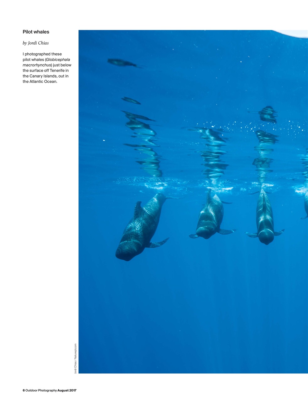 Outdoor Photography Preview Pages