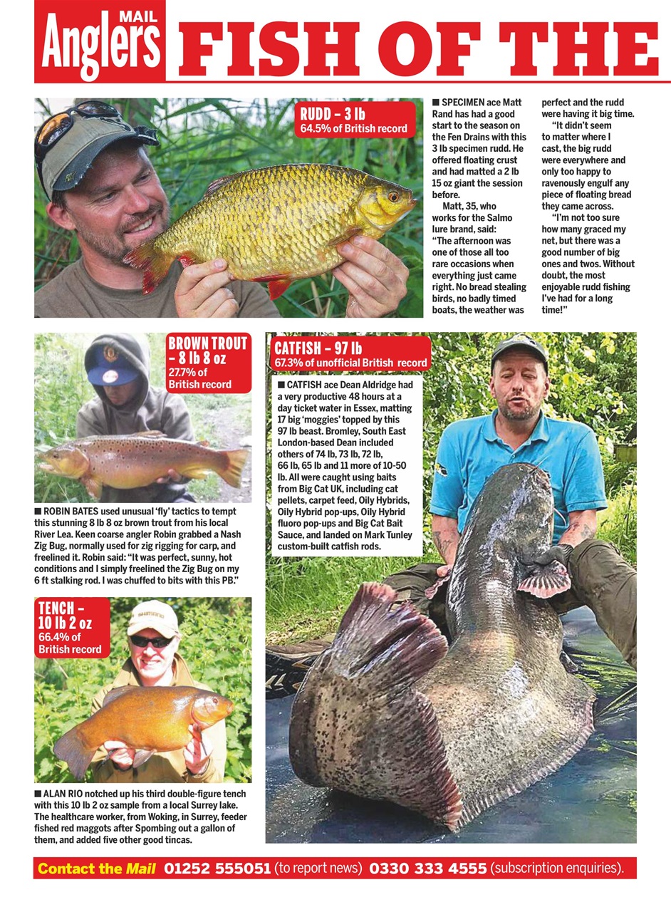 Anglers Mail Preview Pages
