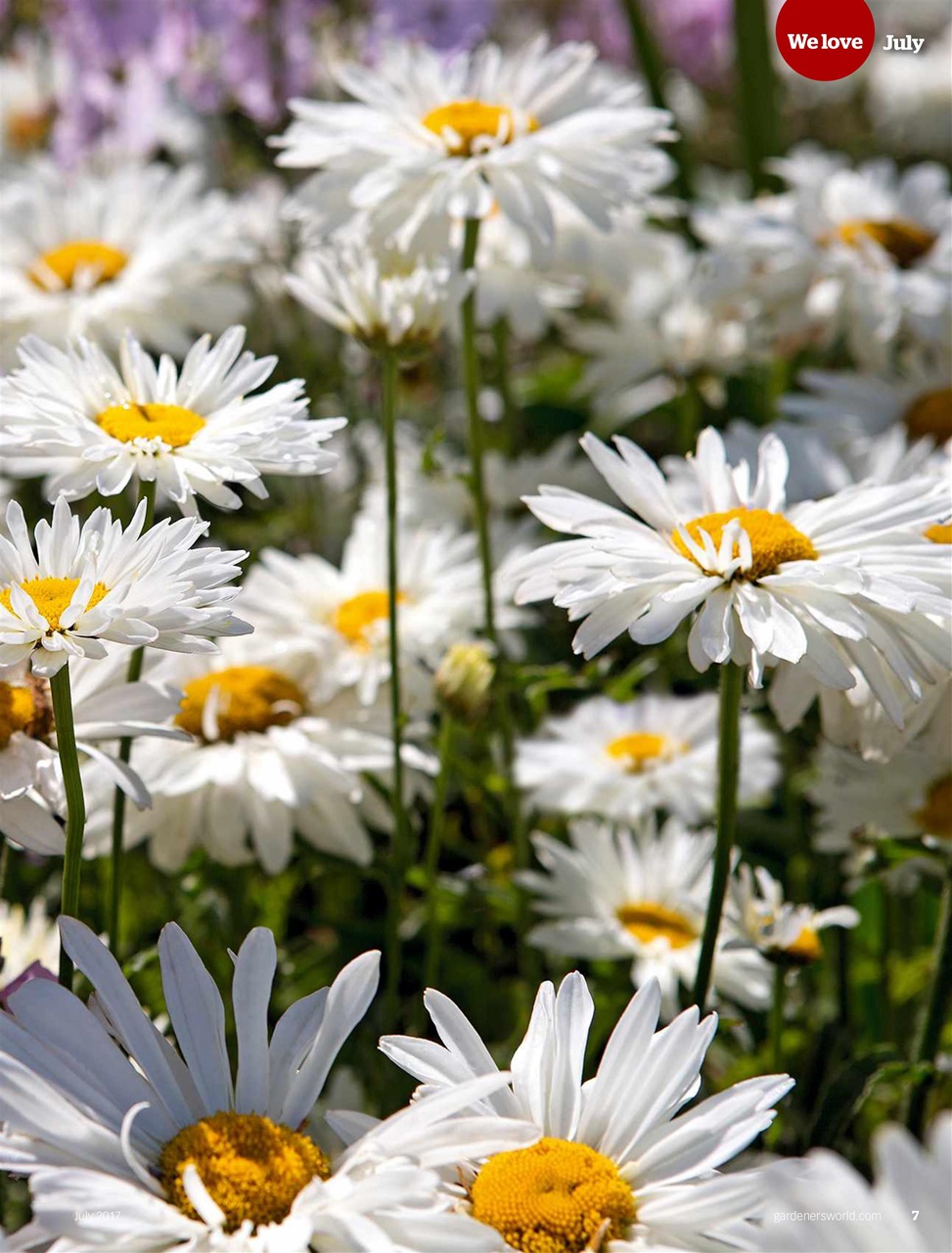 BBC Gardeners’ World Magazine Preview Pages