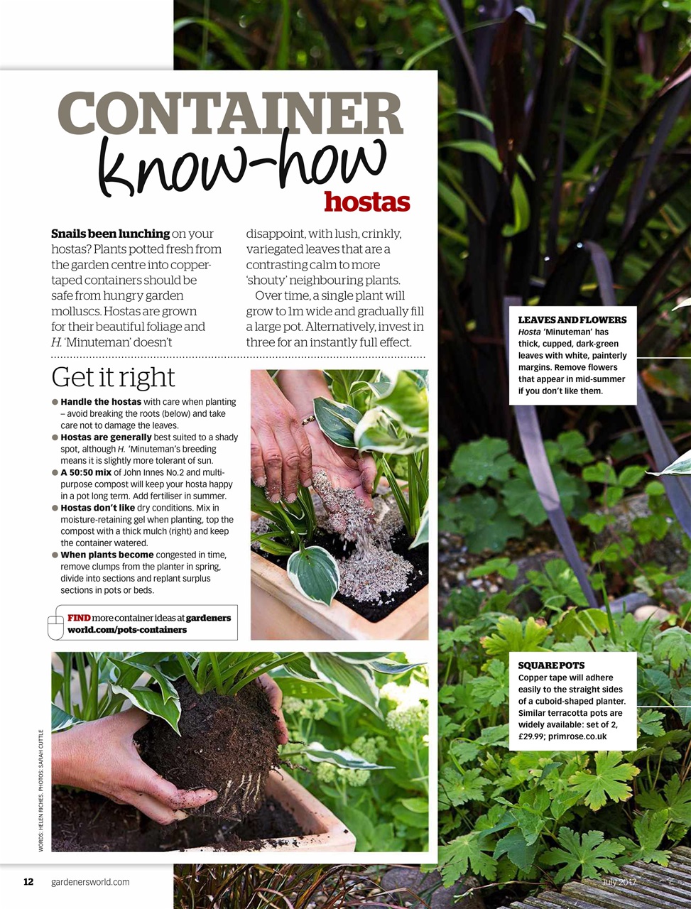 BBC Gardeners’ World Magazine Preview Pages