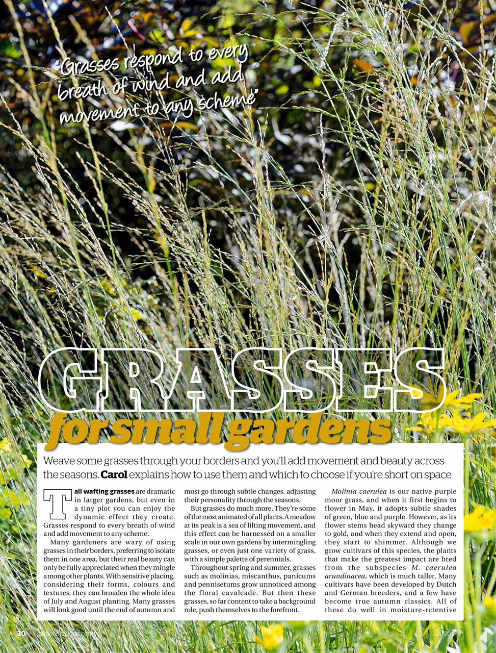 BBC Gardeners’ World Magazine Preview Pages