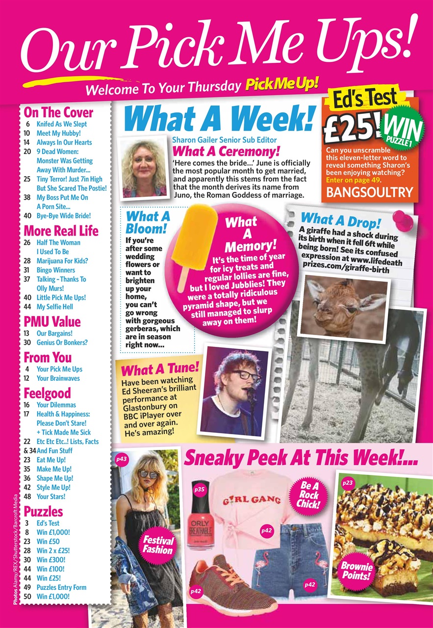 Pick Me Up Preview Pages