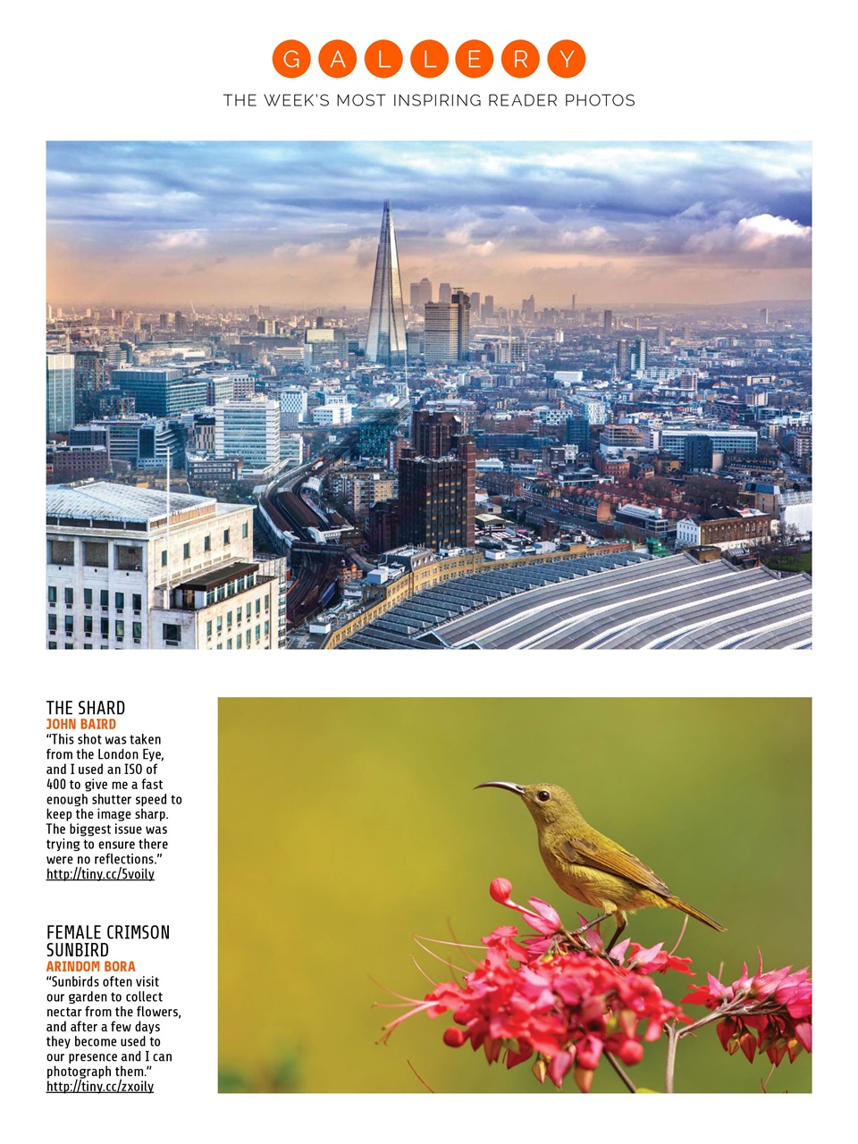 Photography Week Preview Pages