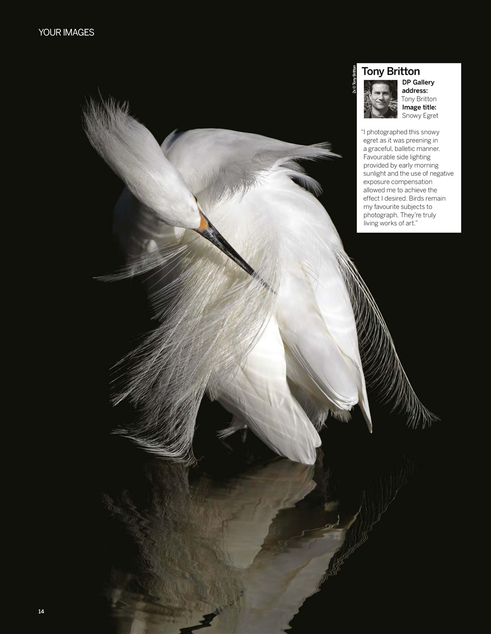 Digital Photographer Preview Pages