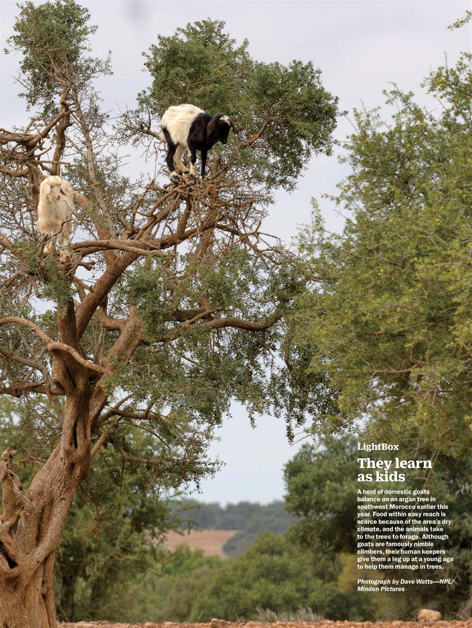 TIME Magazine Europe Preview Pages