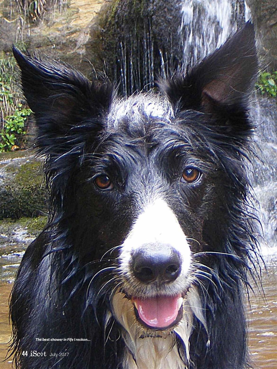 iScot Magazine Preview Pages