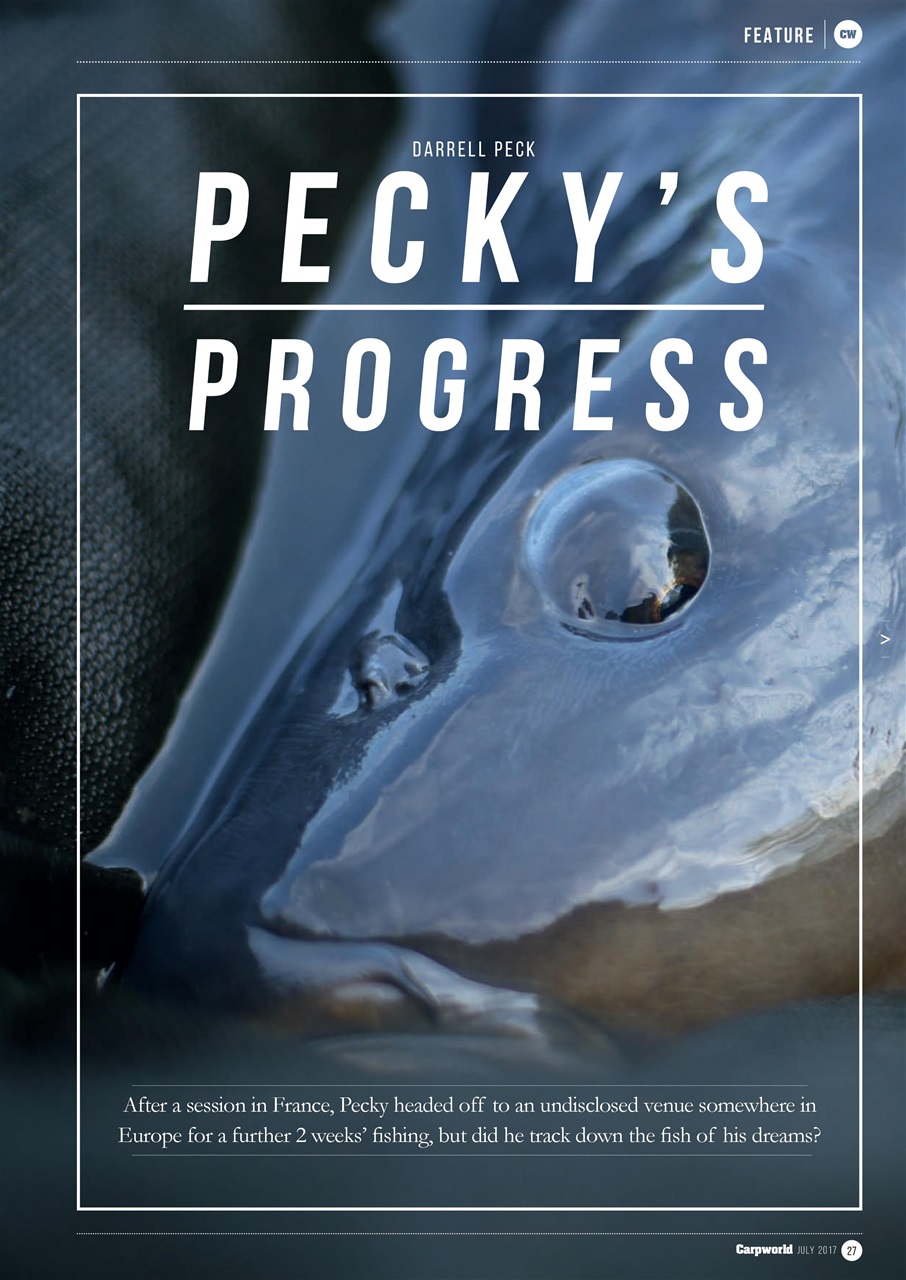 Carpworld Preview Pages