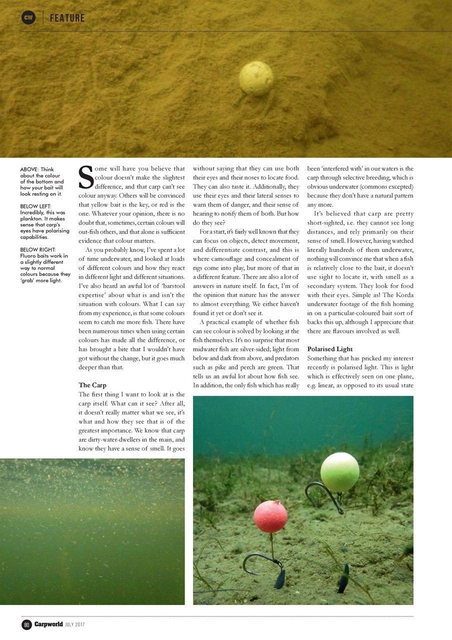 Carpworld Preview Pages