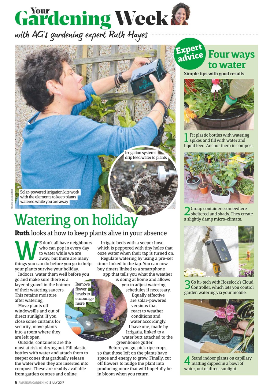 Amateur Gardening Preview Pages