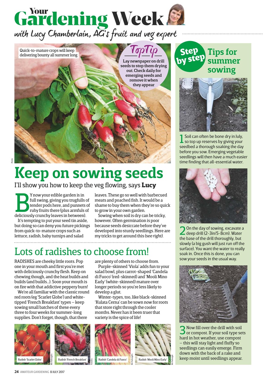 Amateur Gardening Preview Pages