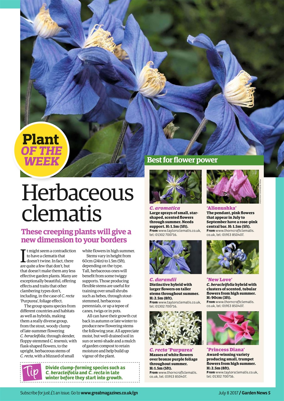 Garden News Preview Pages
