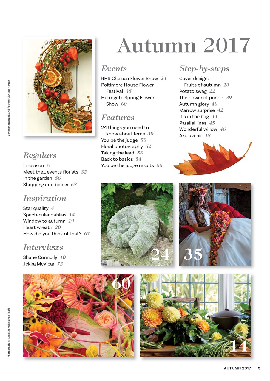 The Flower Arranger Preview Pages