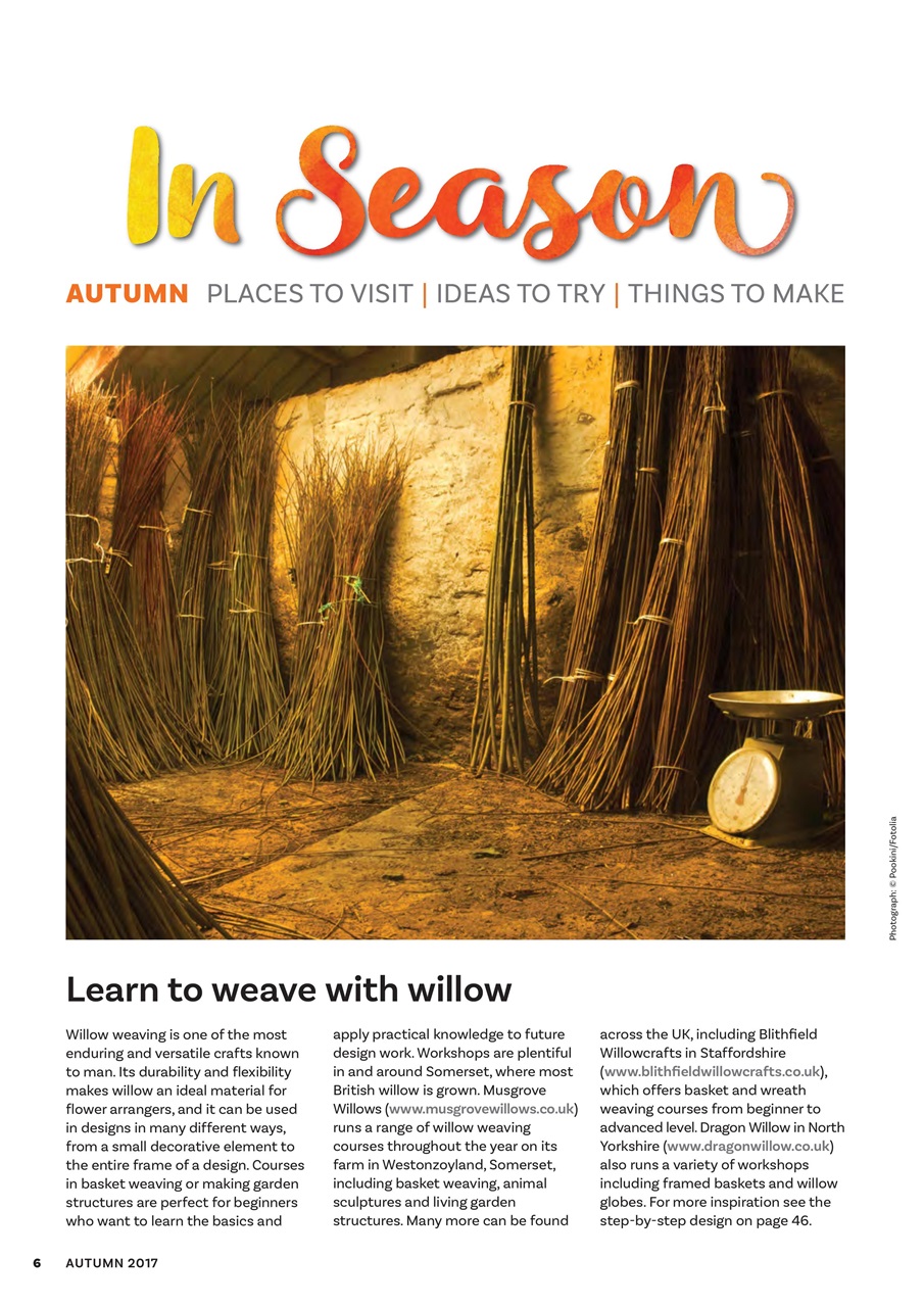 The Flower Arranger Preview Pages