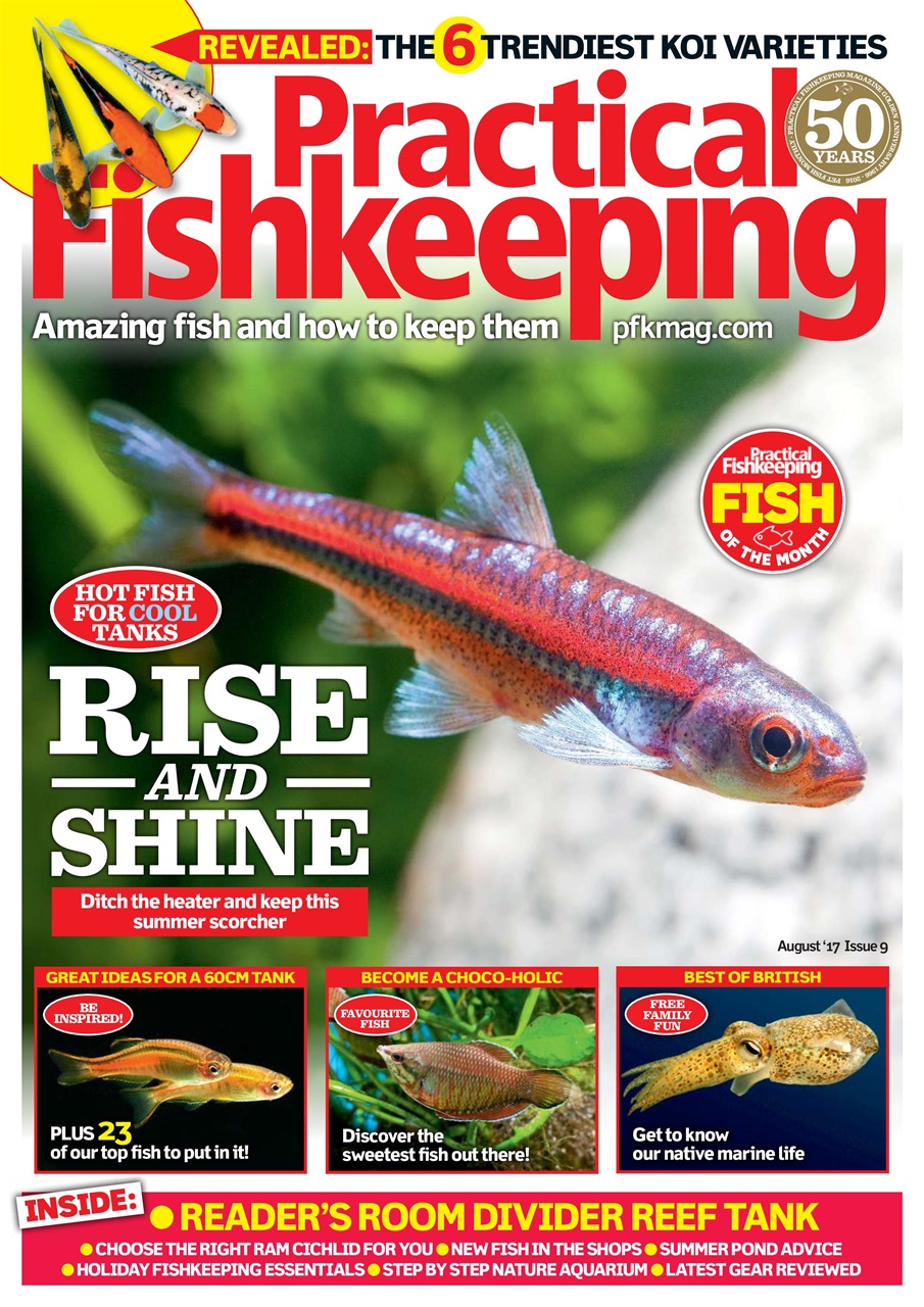 Practical Fishkeeping Preview Pages