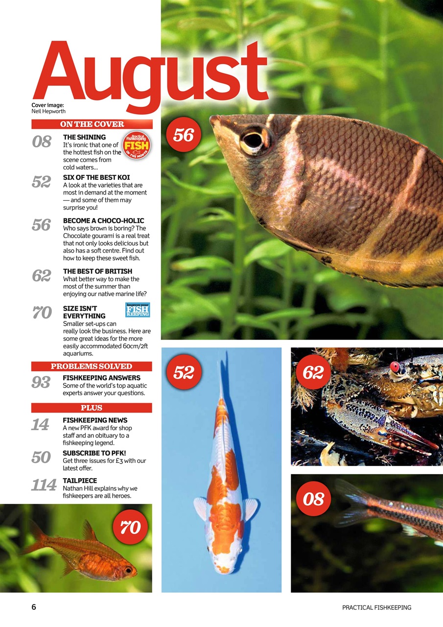 Practical Fishkeeping Preview Pages