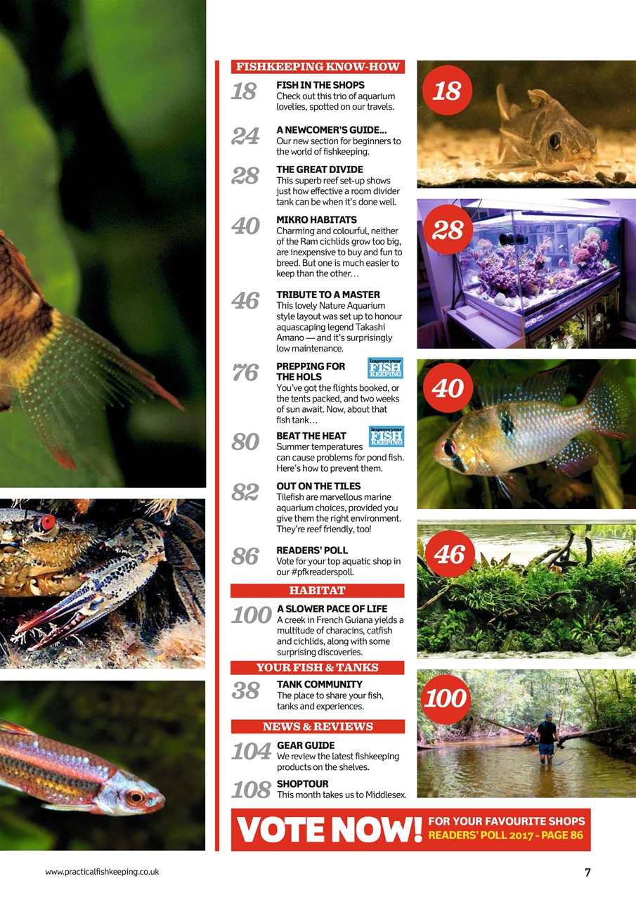 Practical Fishkeeping Preview Pages